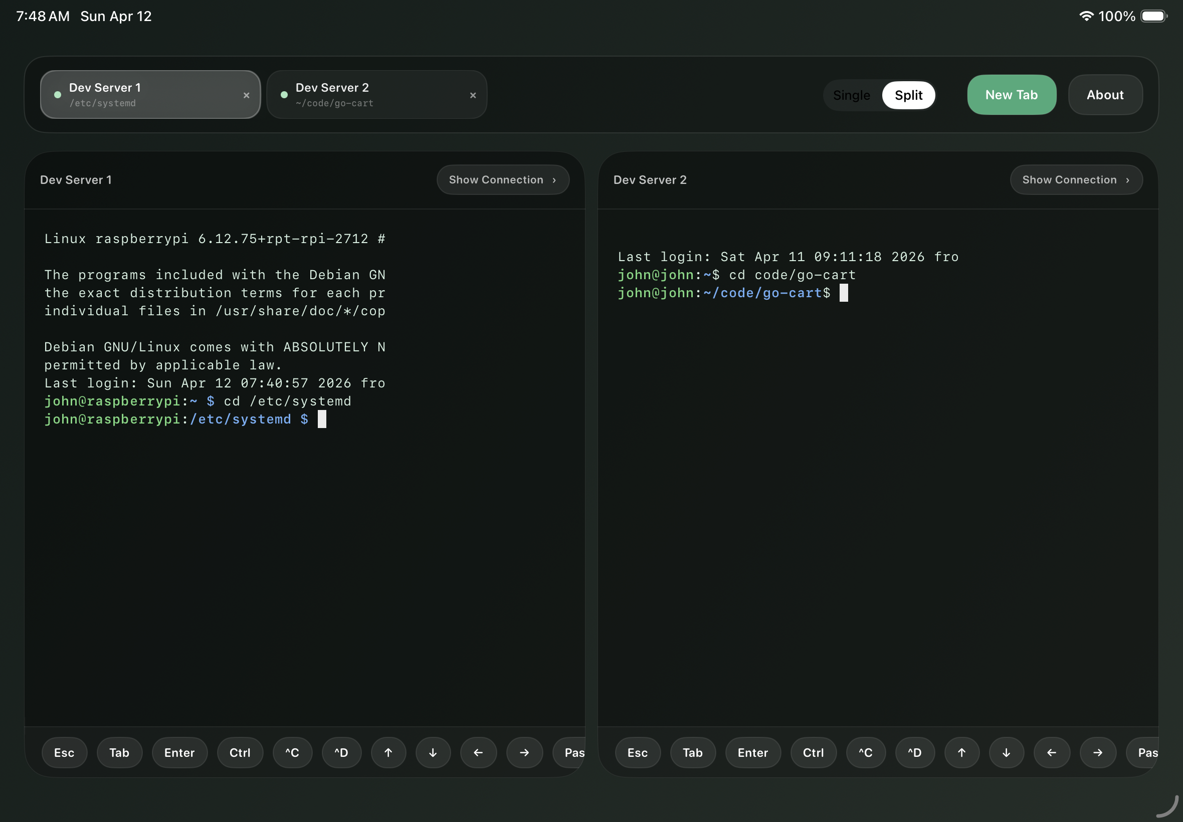 Semantic Developer split terminal workspace on iPad
