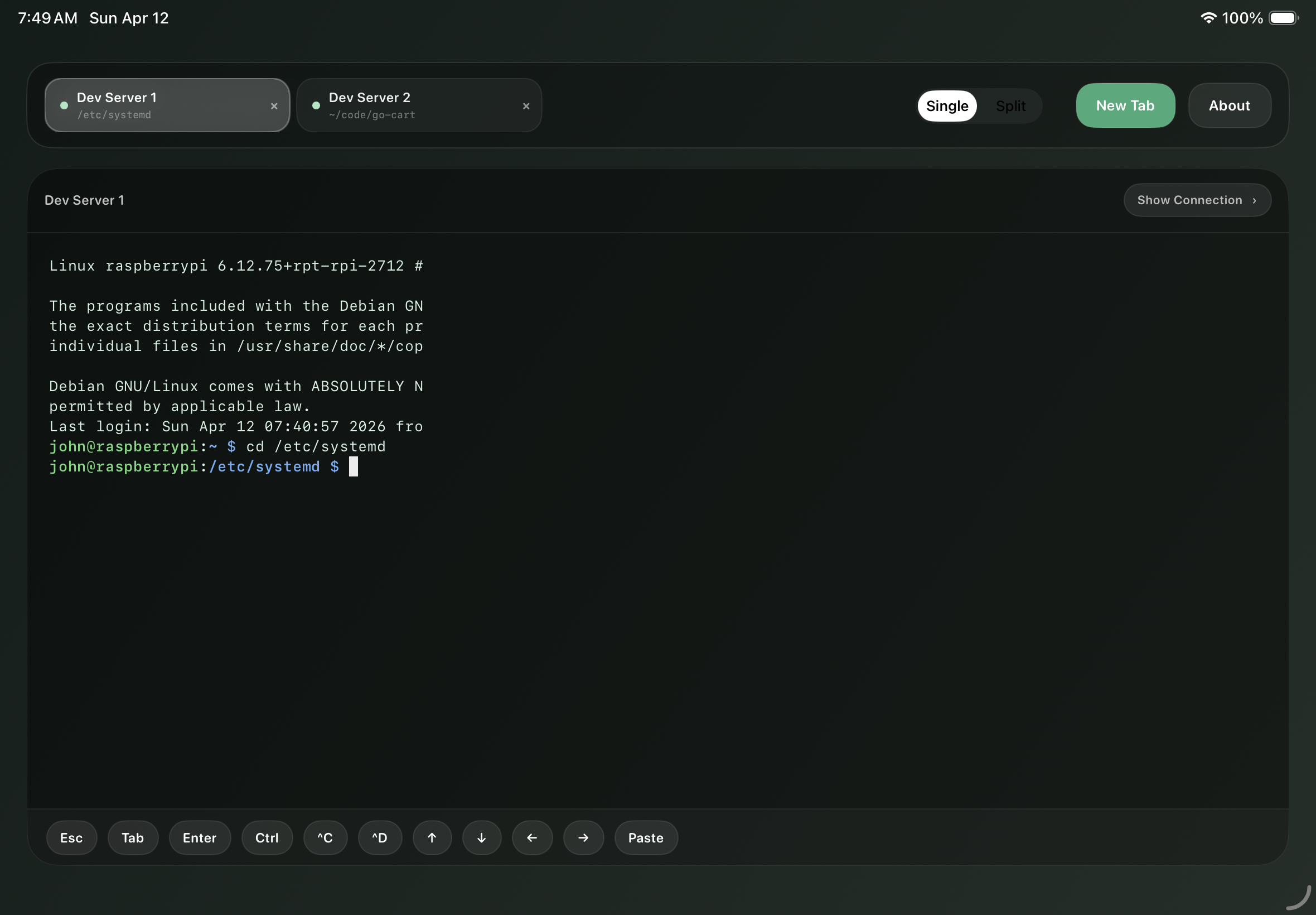 Semantic Developer terminal session on iPad