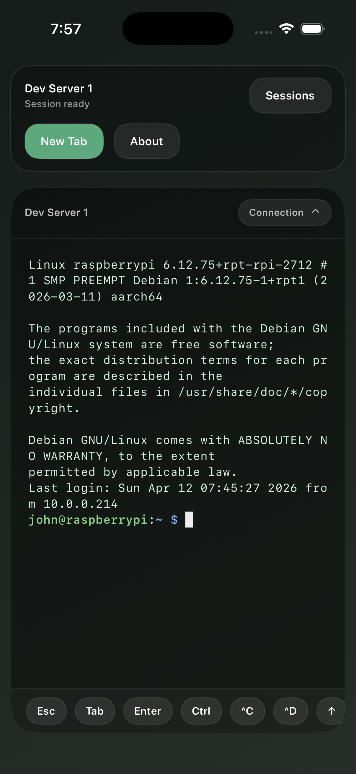 Semantic Developer terminal session on iPhone