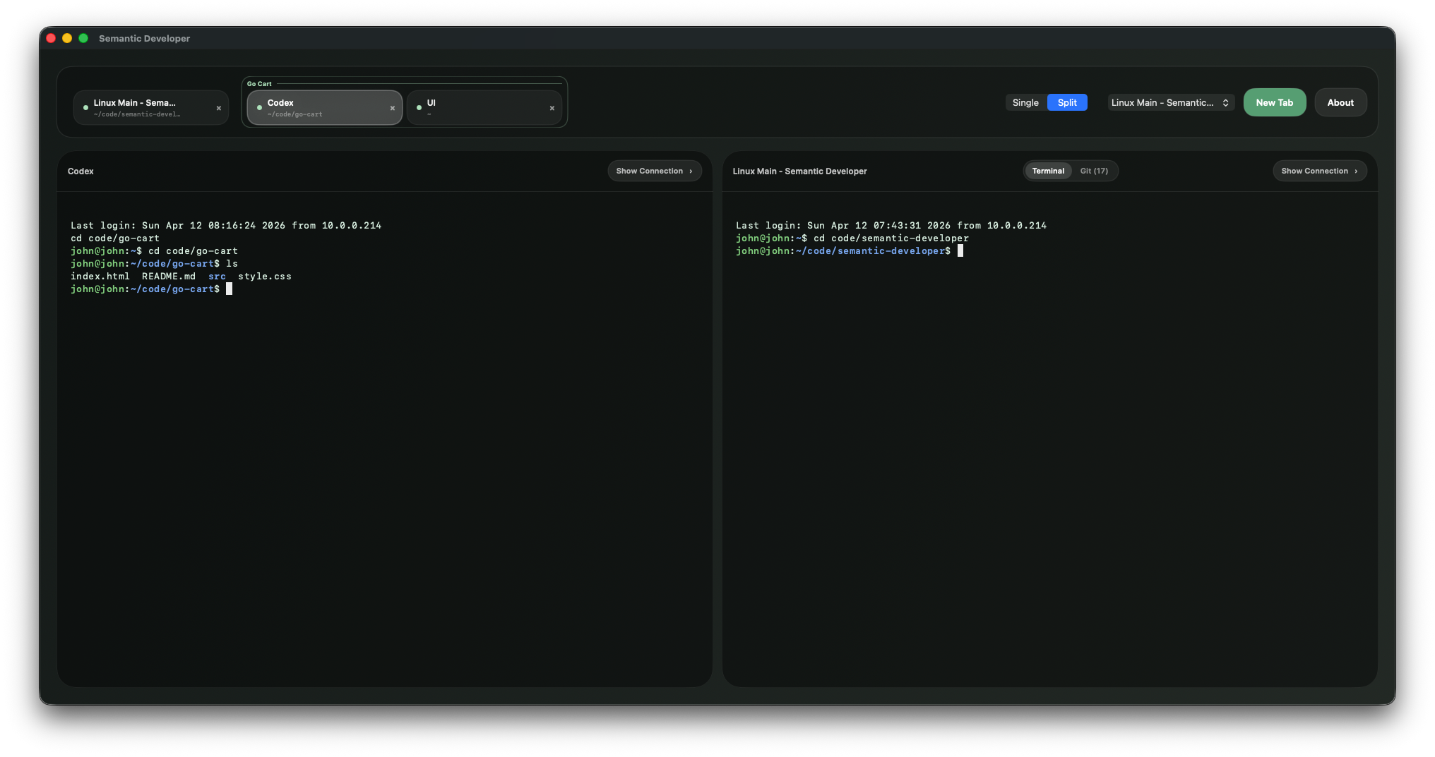Semantic Developer split workspace on macOS